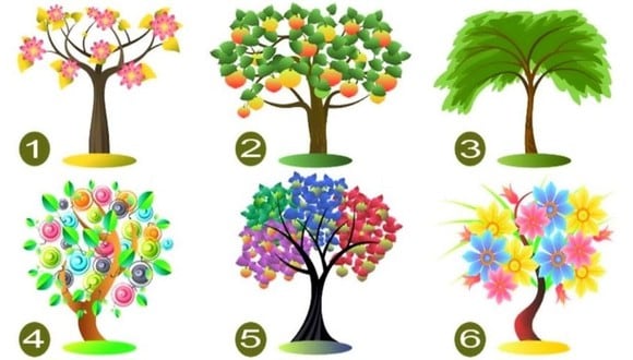 Escoge una de los árboles de esta prueba psicológica y conoce las principales cualidades de tu personalidad. (Foto: Facebook/iProfesional)