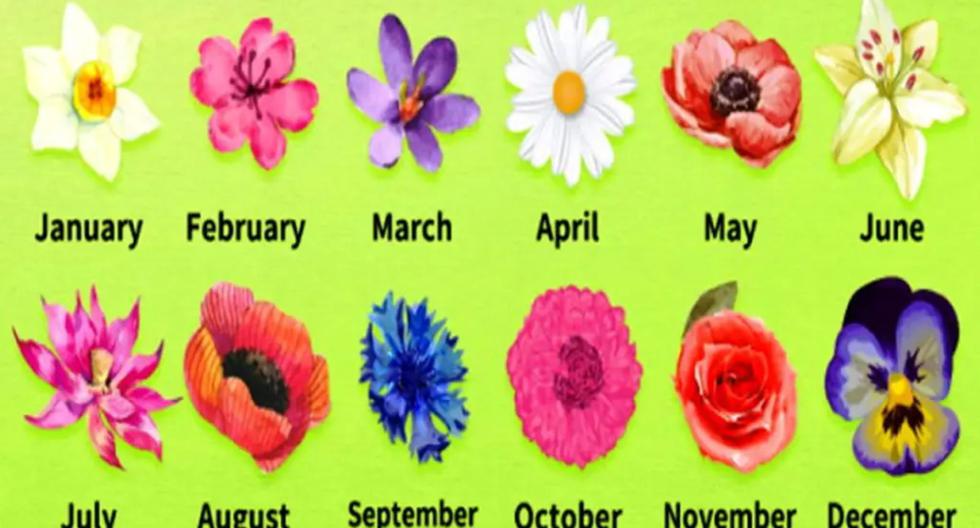 Visual Test |  A flower on your birthday will reveal your life  Mexico
