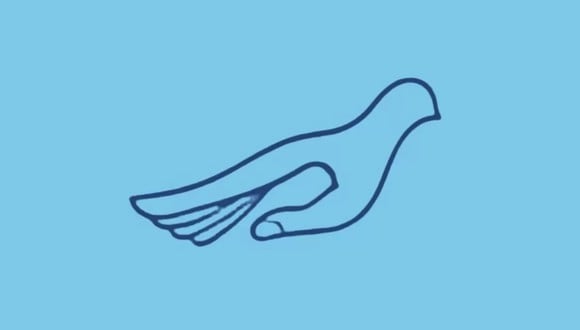 TEST DE PERSONALIDAD | Esta ilusión óptica muestra un pájaro y una mano, dependiendo de lo que veas primero, tiene como objetivo revelar la necesidad más importante de tu vida. | jagranjosh