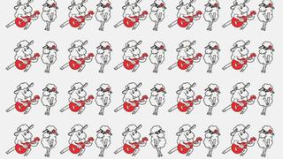 ¿Dónde están las ovejas rockeras diferentes? Encuentra esa pareja en solo 5 segundos [FOTO]