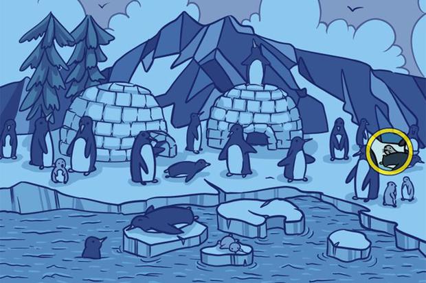 Una foca se oculta entre los pingüinos y tienes que encontrarla para  resolver el reto viral | acertijo lógico | virales | nnda nnrt | MEXICO |  DEPOR