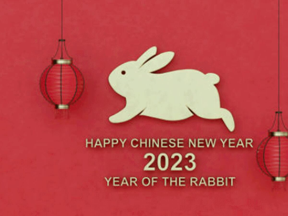 Horóscopo Chino 2023: qué animal rige este año y más predicciones del año  nuevo por fecha de nacimiento, Año del Conejo de Agua, Tarot, Astrología, México, MX, MEXICO