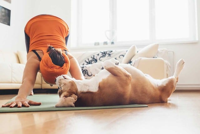 El perro se convirtió en su mejor acompañante para realizar esta rutina de ejercicios. | Foto: Referencial/Shutterstock
