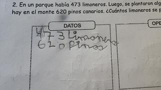 Problema matemático para niños de 7 años se vuelve viral tras ser imposible de resolver