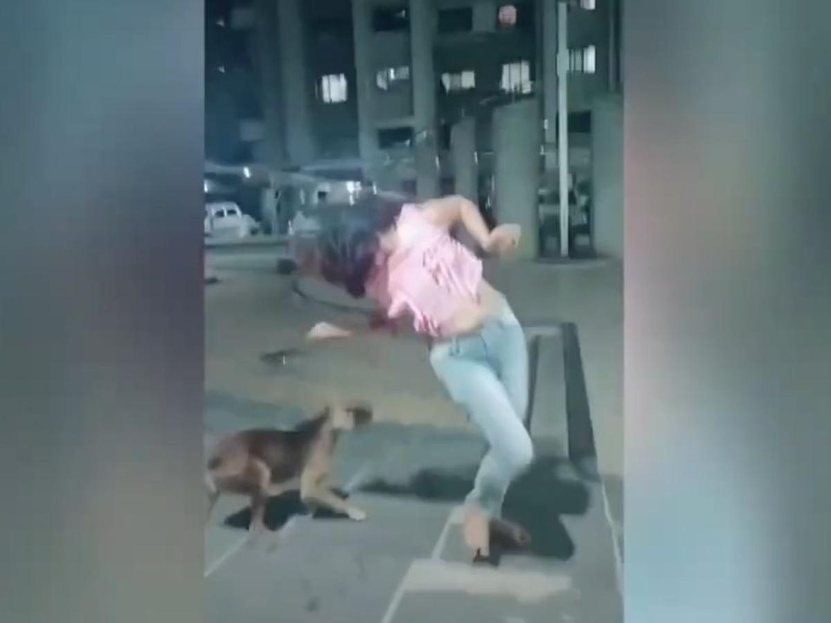 VIDEO VIRAL | Perro le dio una dolorosa crítica a su dueña por sus nuevos pasos de baile | TikTok viral | India | | Mascotas | Fotos | OFF-SIDE | DEPOR