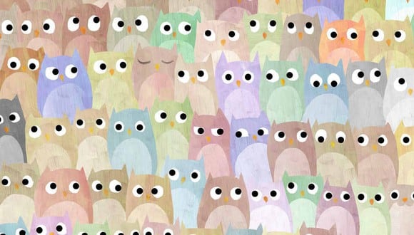 En esta imagen hay muchos búhos. Entre ellos, hay un gato. (Foto: dudolf.com)