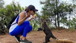 El video viral del coatí que se come la manzana de Yanet García