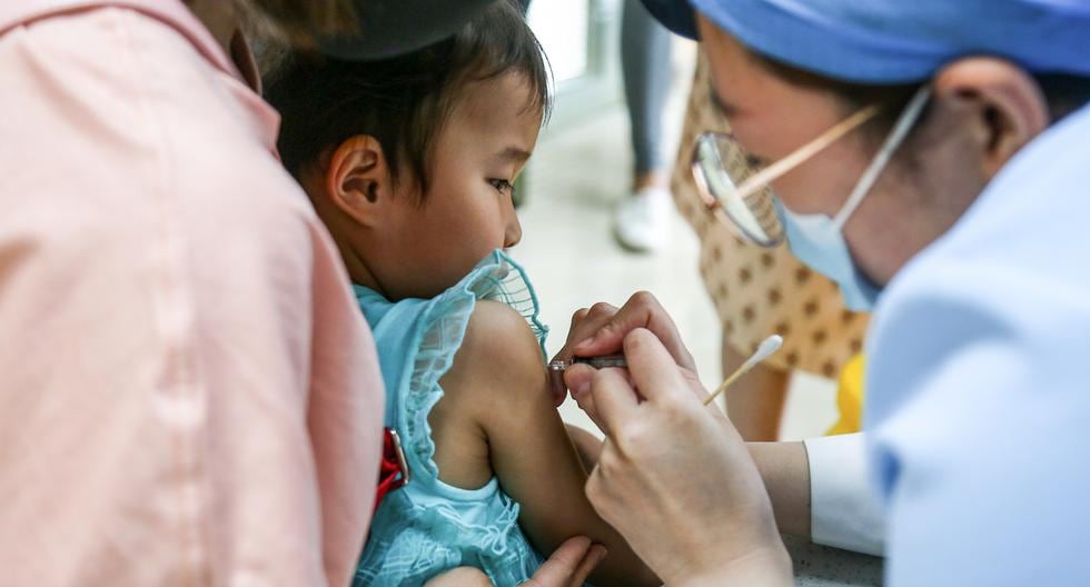 Hasta el momento se han iniciado pruebas clínicas en humanos de algo menos de cuarenta posibles vacunas contra el coronavirus a nivel mundial, de las que una decena se realizan en China. (Foto: STR / AFP)