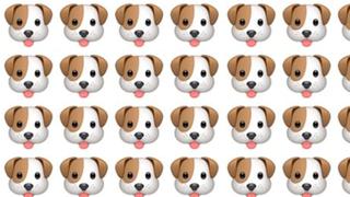 Encuentra el Dog Emoji distinto en 5 segundos: participa en este sensacional acertijo visual