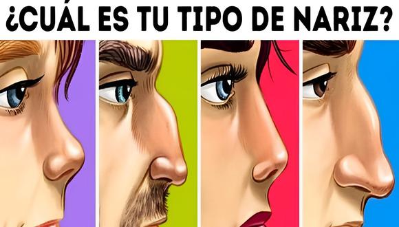 Test visual: dinos de qué forma es tu nariz según la imagen y descubre qué tipo de persona eres (Foto: GenialGuru).