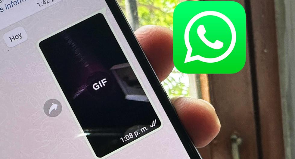 Whatsapp Cómo Transformar Tus Videos En Aplicaciones Smartphone Celulares Android 1696