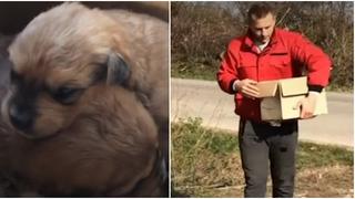 ¡Héroe sin capa! Hombre rescató a perritos que fueron abandonados dentro de una caja de cartón [VIDEO]