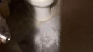 Hombre vive en el “departamento más pequeño” de Nueva York: un baño que no creerás [VIDEO]