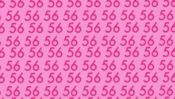 En esta imagen, cuyo fondo es de color rosado, abundan los números 56. Entre ellos, está el 65. (Foto: MDZ Online)