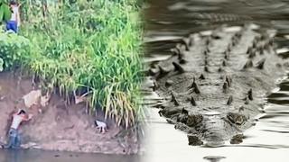 La historia de los jóvenes que se lanzaron al río para salvar a un perrito de un cocodrilo que lo iba a devorar 