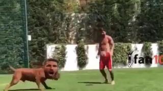 Lionel Messi hizo dominadas ante su 'perro Ramos' y las redes estallaron [VIDEO]